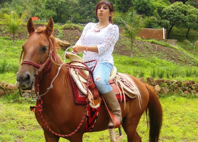  Rotas de cavalo 